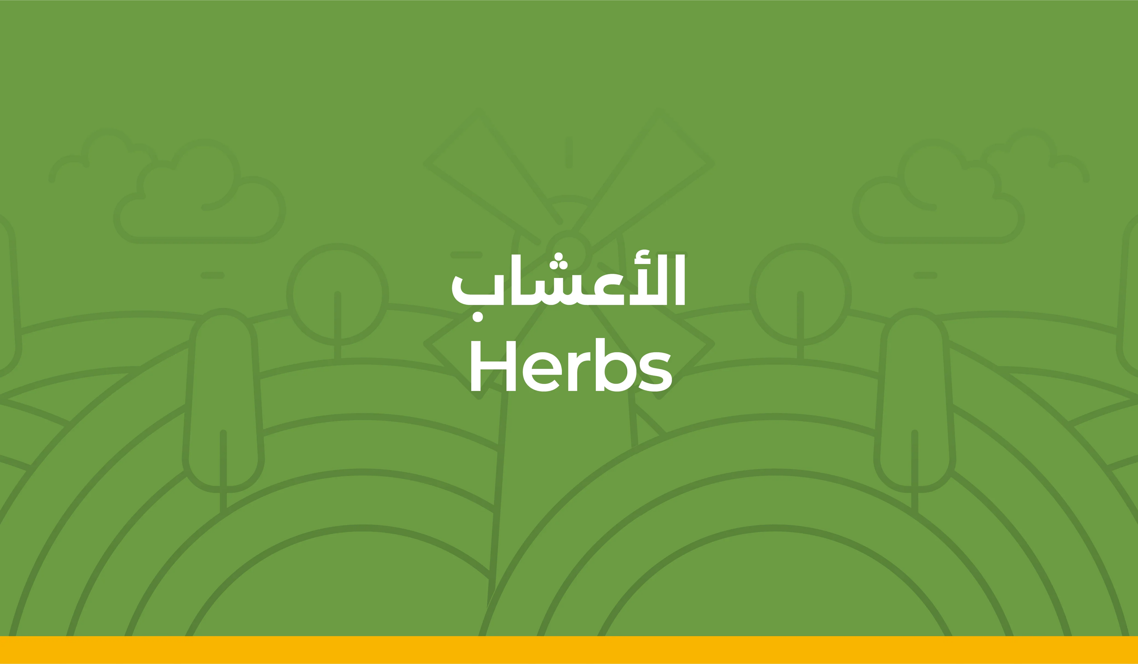 Herbs